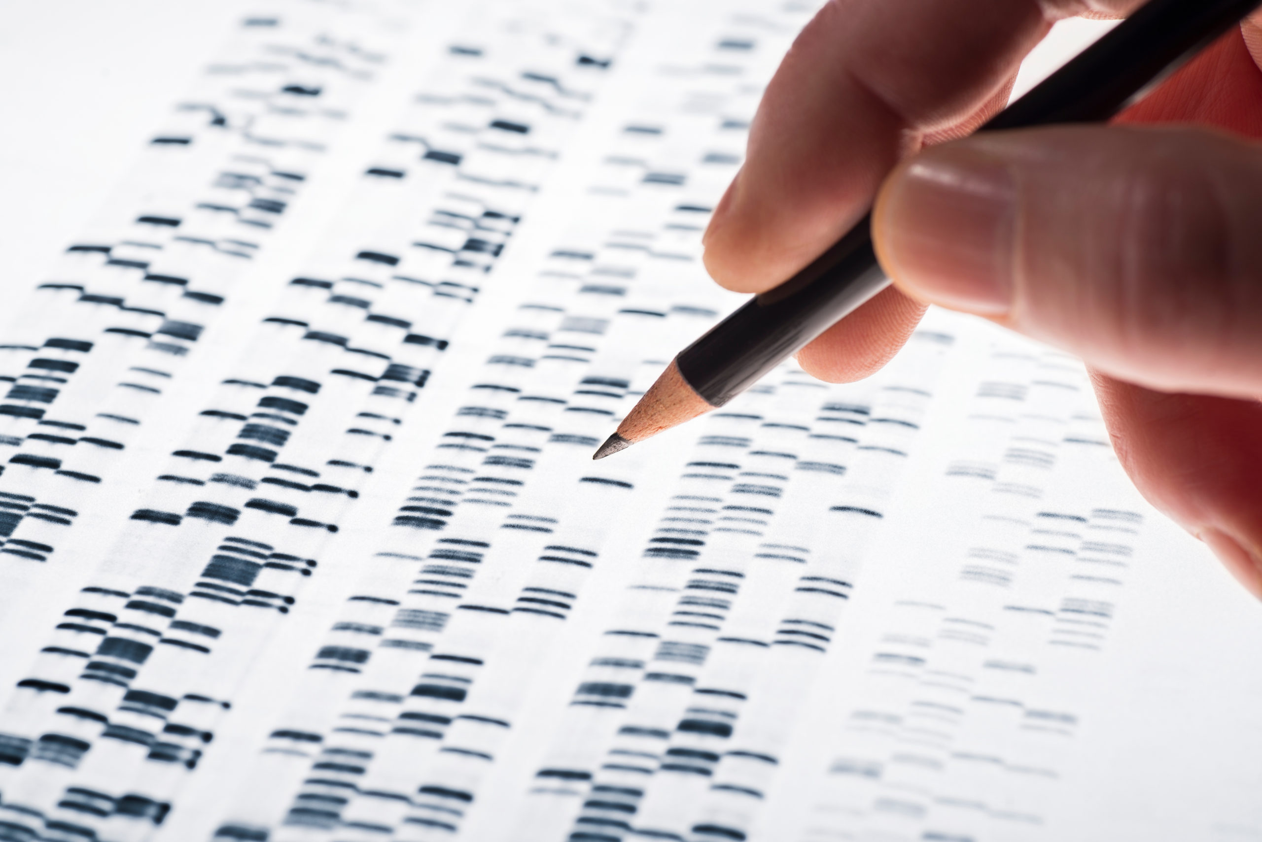 Company - UX in our DNA - About Whitespace