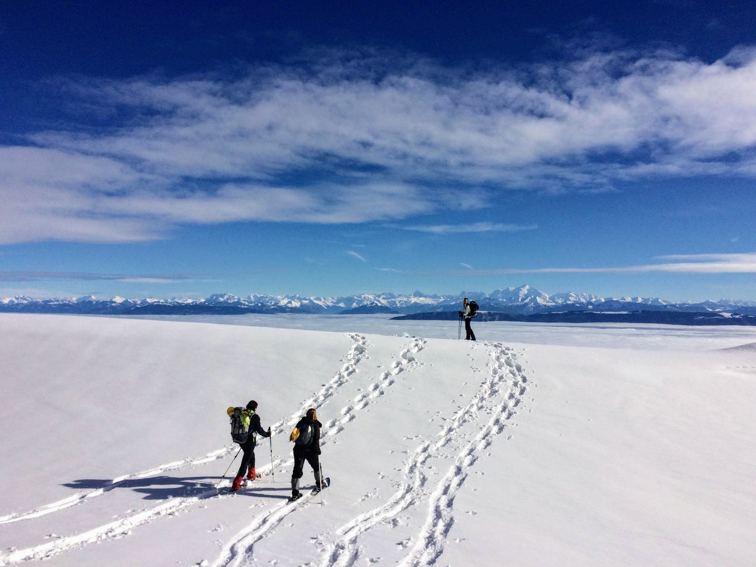 Partners - Alps as seen from Jura