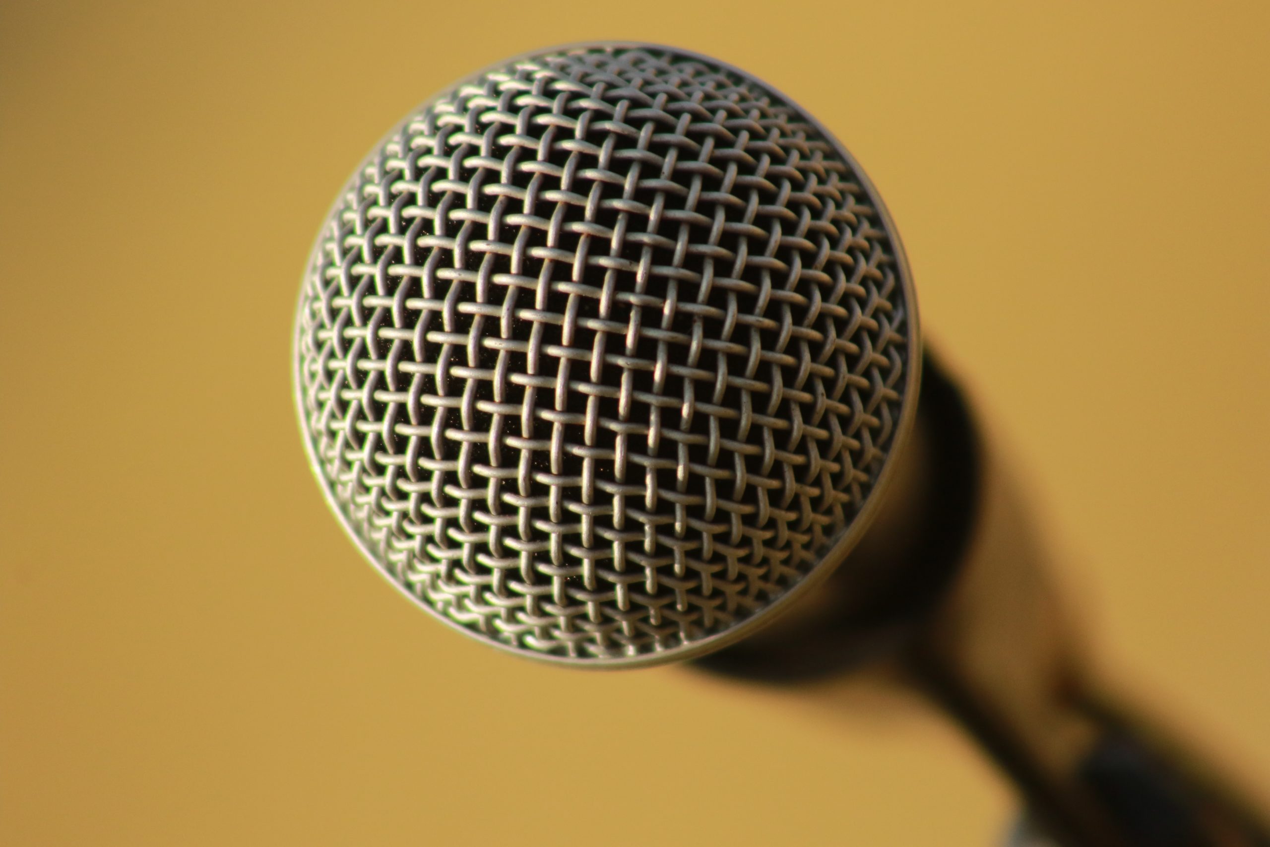 microphone Insights Media
