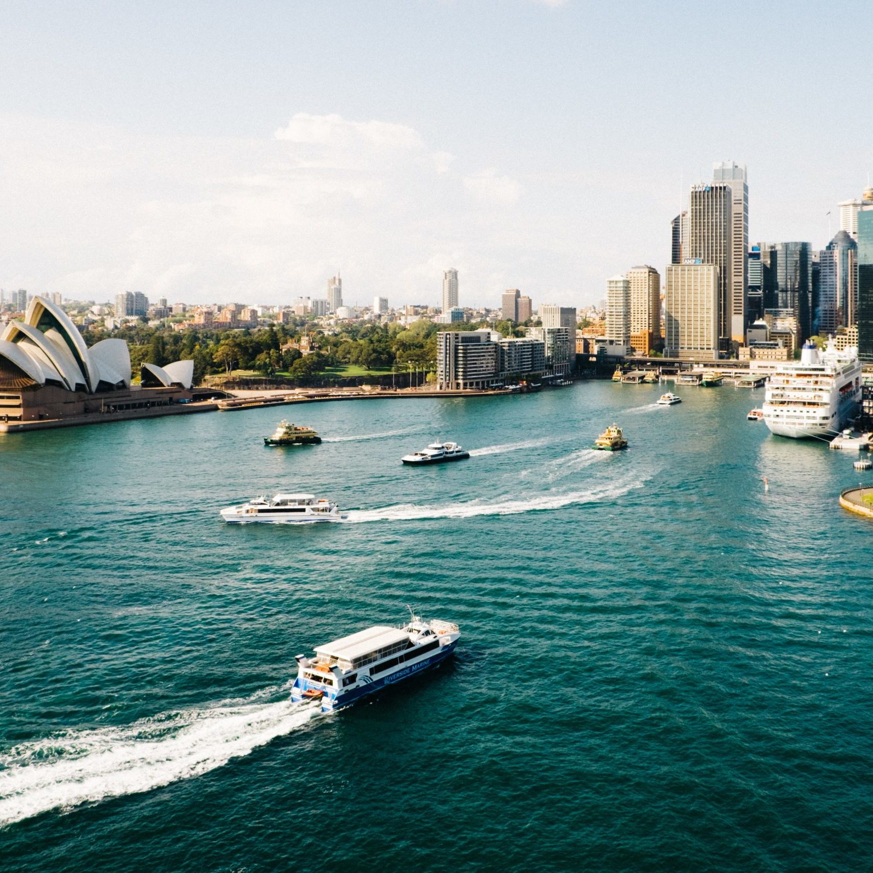 Sydney harbor and skyline