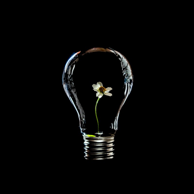 lightbulb innovation