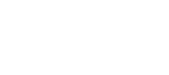 tameo logo