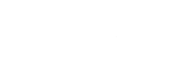 SIG logo